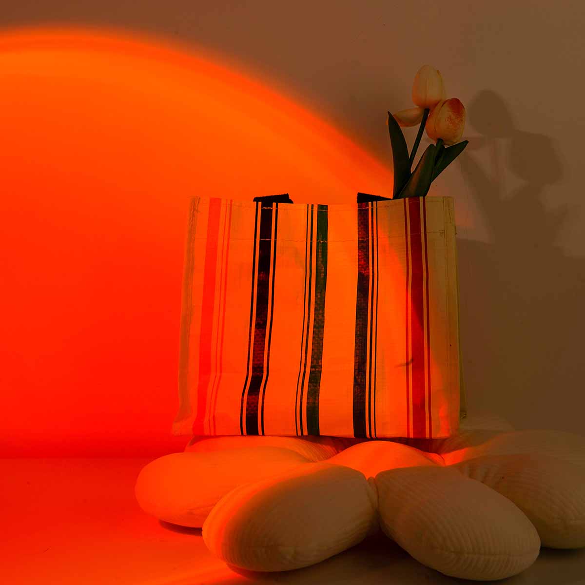 Sunset Projection Light Remote - Photography Lighting Setup 评论和价格
